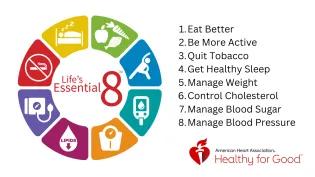 Colour Wheel displaying LIfe's Essential 8 tips