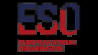 European Stroke Organisation logo