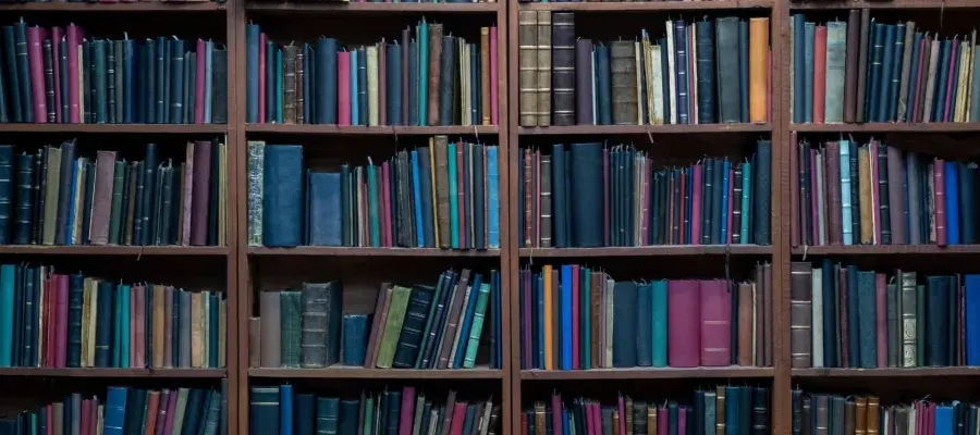 Photograph of books on shelves