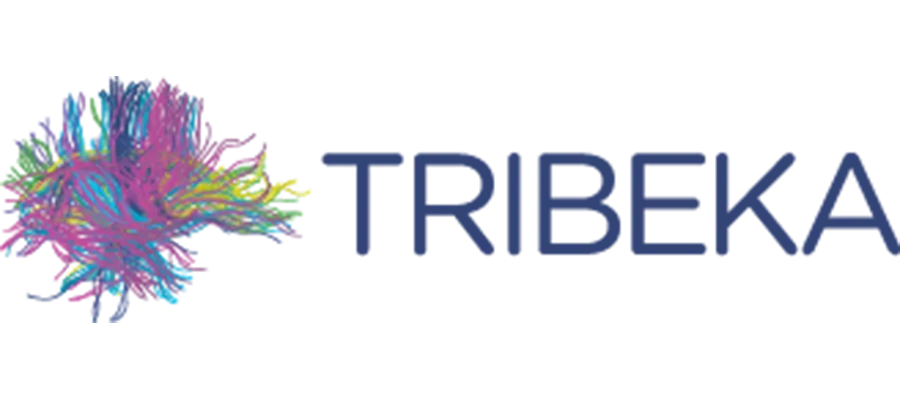 TriBEKa Consortium logo