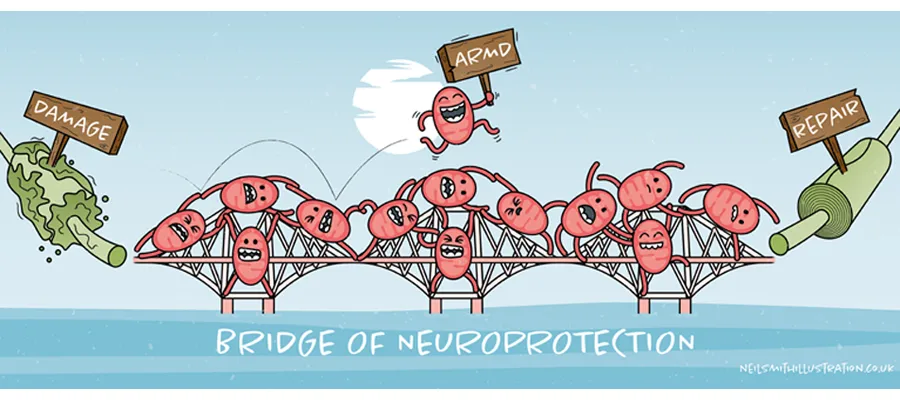 cartoon description of the research work