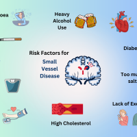 Bluck and green background, image of brain in middle, text reads "risk factors for Small Vessel Disease"