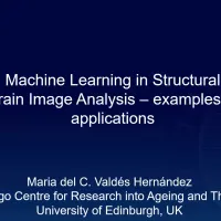 Dr Maria Valdes Hernandez picture with online presentation
