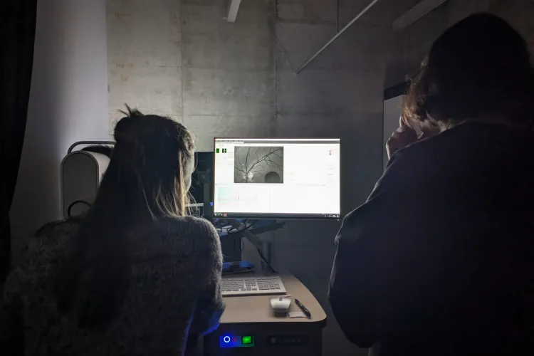 Images from the new camera