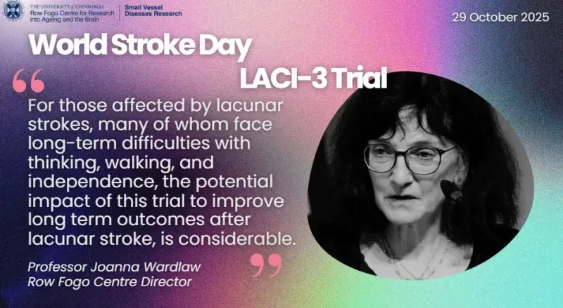 Professor Joanna Wardlaw quote