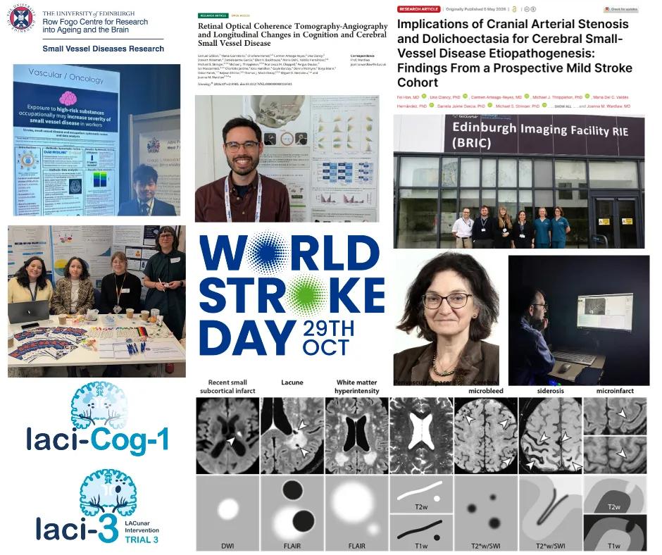 World Stroke Day 2026 selection of images of research 