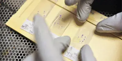 researcher picking up a microscope slide