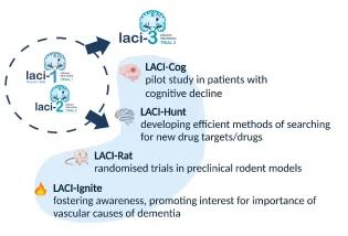 Team Vascular Workstreams