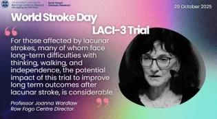 Professor Joanna Wardlaw quote