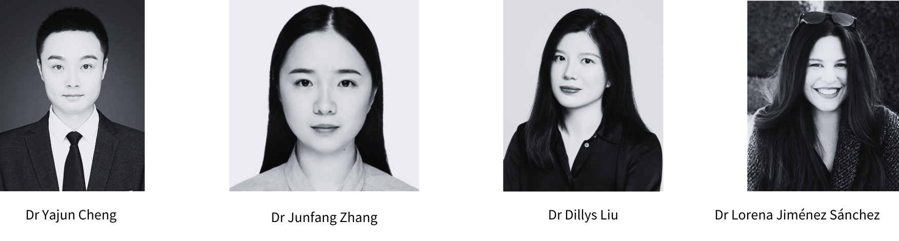 Dr Yajun Cheng; Dr Junfang Zhang; Dr Dillys Liu; Dr Lorena Jiménez Sánchez