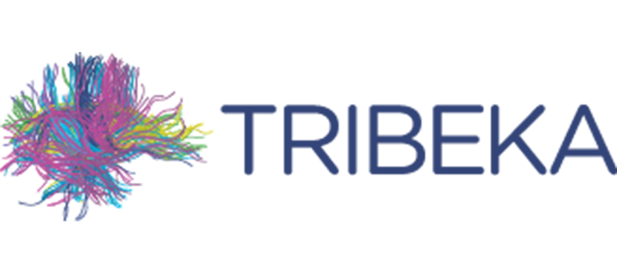 TriBEKa Consortium logo