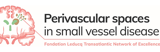Perivascular Spaces in Small Vessel Diseases_Logo